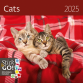 Calendrier 2025 Helma 365 30x30cm Chats