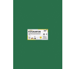 Carton photo Folia 50x70cm 300g 10 feuilles n° 58 vert foncé