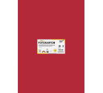 Folia photo cardboard 50x70cm 300g 10 sheets no. 20 red