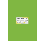 Folia photo cardboard 50x70cm 300g 10 sheets no. 55 medium green