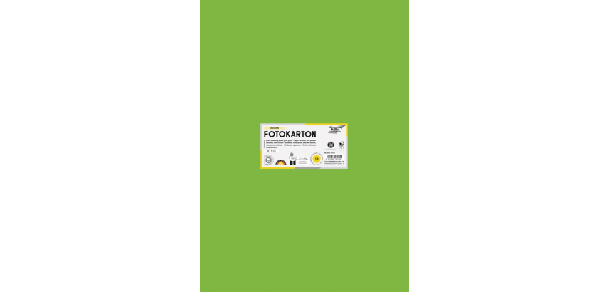 Folia photo cardboard 50x70cm 300g 10 sheets no. 55 medium green