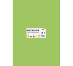 Carton photo Folia 50x70cm 300g 10 feuilles n° 51 vert clair
