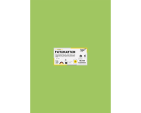 Carton photo Folia 50x70cm 300g 10 feuilles n° 51 vert clair