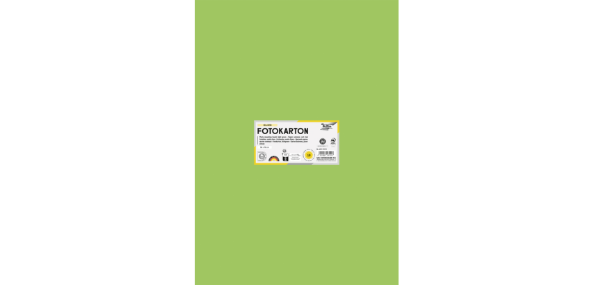 Fotokarton Folia 50x70cm 300g 10 Blatt Nr. 51 Hellgrün