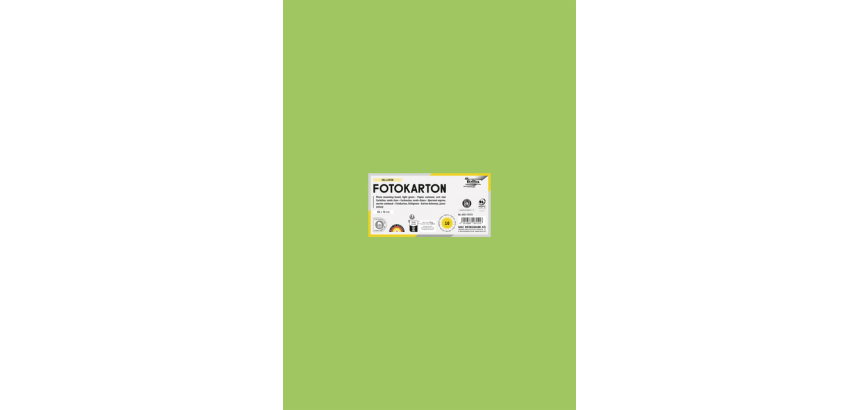 Carton photo Folia 50x70cm 300g 10 feuilles n° 51 vert clair