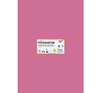 Folia photo board 50x70cm 300g 10 sheets no. 29 old pink