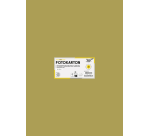 Carton photo Folia 50x70cm 300g 10 feuilles n° 65 doré