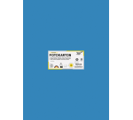 Carton photo Folia 50x70cm 300g 10 feuilles n° 34 bleu moyen
