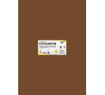 Folia photo cardboard 50x70cm 300g 10 sheets no. 85 brown
