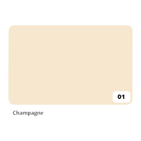 Carton photo Folia 2 faces 50x70cm 300g nr 01 champagne