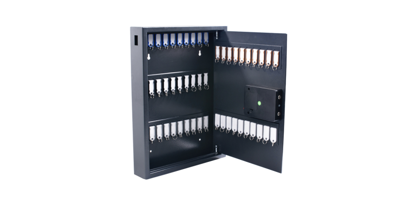 Armoire à clés Pavo High Security magnétique 50 crochets 575x450x77mm