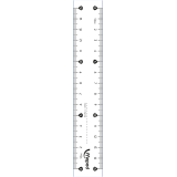 Maped lat Essentials 146 15 cm, dubbele graduatie