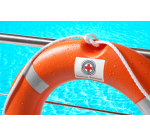 Etiquette Avery L7913-10 99,1x42,3mm polyéthylène blanc 120 pièces