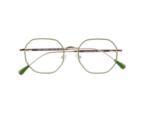 Leesbril I Need You +2.00 dpt Yoko groen-goud