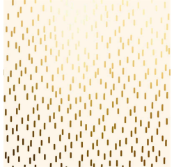 Rouleau pour appareil Special Wrap Crème avec or 30cmx100m