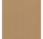 Sachet cadeau Special Wrap kraft 12x19cm assorti 1000 pièces