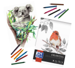Bloc à dessin Oxford Drawing A3 40 feuilles 160g