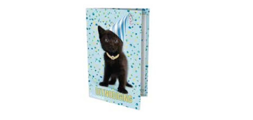 Invitation chat Rachael Hale 14x9cm (NL)