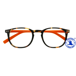 Lunettes de lecture I Need You +2.00 dpt Junior Selection brun-orange