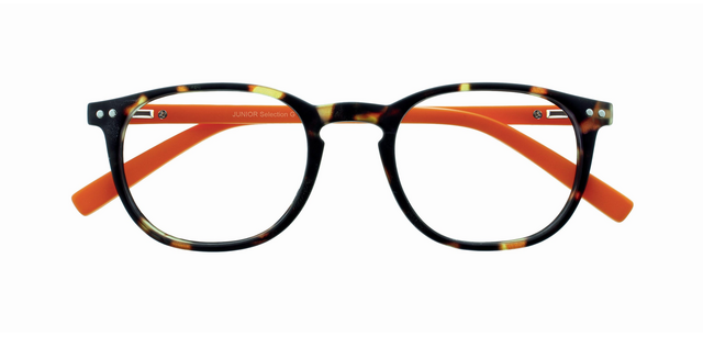 Lunettes de lecture I Need You +2.00 dpt Junior Selection brun-orange