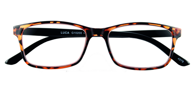 Leesbril I Need You +1.00 dpt Luca bruin