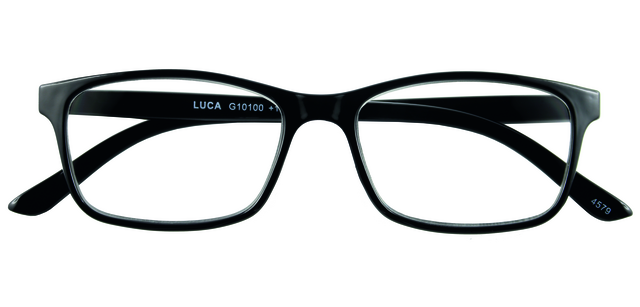 Lunettes de lecture I Need You +1.00 dpt Luca noir