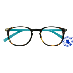 Lunettes de lecture I Need You +3.00 dpt Junior Selection brun -turquoise