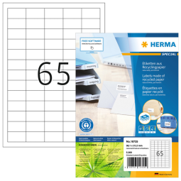 Etiquette HERMA Recycling 10725 38,1x21,2mm blanc 5200 pièces