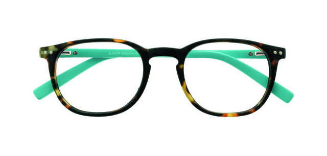 Reading glasses I Need You +1.00 dpt Junior Selection brown-turquoise