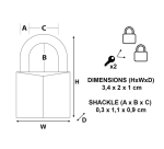 Cadenas Master Lock 2 verrouillage égal laiton 20mm 2 pièces