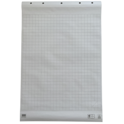 Papier tableau de conférence 65x98cm 50 feuilles enroulé