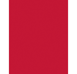 Carton bricolage Folia 48x68cm 400g n° 211 rouge