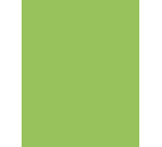 <strong>Folia Bastelkarton 48x68cm 380g Nr. 941 neon-grün</strong>