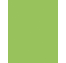 Carton bricolage Folia 48x68cm 380g n° 941 vert fluo