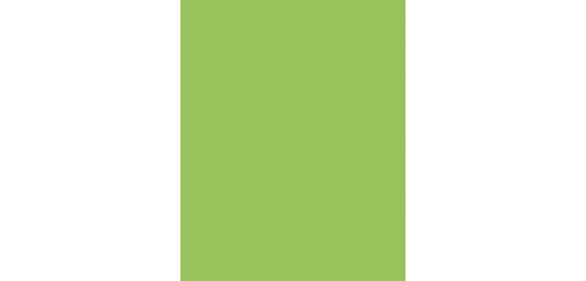 Folia Craft Card 48x68cm 380g No. 941 Fluorescent Green