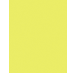 Etalagekarton Folia 1-zijdig 48x68cm 380gr nr911 fluor geel