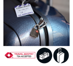 Masterlock Padlock 2 Equal ABS TSA Assorted 30mm 2 Pieces