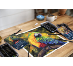 Crayon de couleur Derwent Chromaflow set 12 couleurs