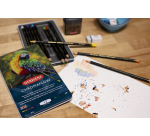 Crayon de couleur Derwent Chromaflow set 12 couleurs