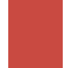 Folia craft cardboard 48x68cm 380g no. 929 neon red