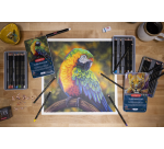 Crayon de couleur Derwent Chromaflow set 24 couleurs