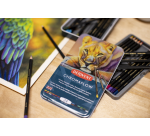 Crayon de couleur Derwent Chromaflow set 24 couleurs