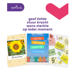 Carte de voeux Hallmark Business Box A4 recharge 8 pièces