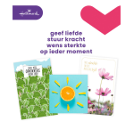 Carte de voeux Hallmark Business Box 'Beterschap/Sterkte' recharge 12 pièces