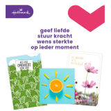 Carte de voeux Hallmark recharge 'Beterschap/Sterkte' 12 cartes