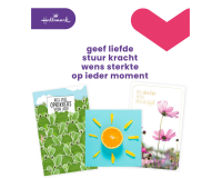 Carte de voeux Hallmark recharge 'Beterschap/Sterkte' 12 cartes