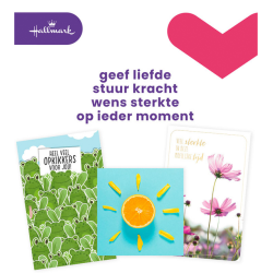 Wenskaart Hallmark navulset beterschap/sterkte 12 kaarten