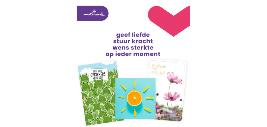 Carte de voeux Hallmark Business Box 'Beterschap/Sterkte' recharge 12 pièces