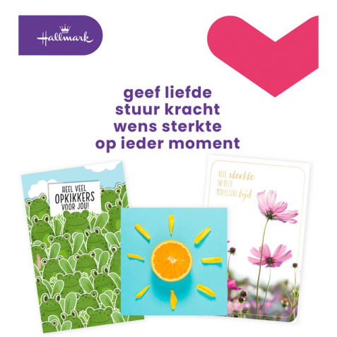 Carte de voeux Hallmark recharge 'Beterschap/Sterkte' 12 cartes