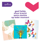 Wenskaart Hallmark navulset blanco 8 kaarten